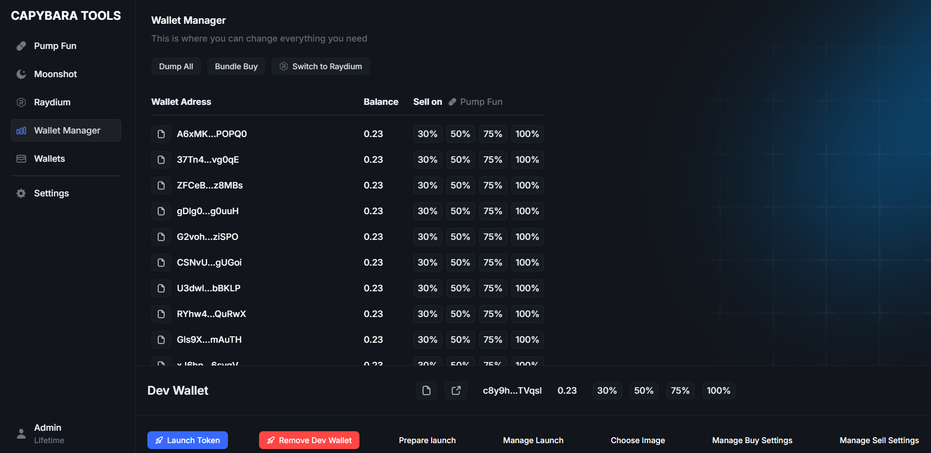 CapybaraTools software interface